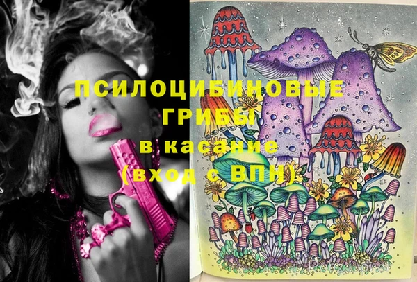 тгк Горно-Алтайск