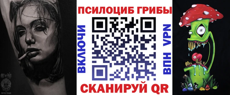 Галлюциногенные грибы Magic Shrooms  купить наркоту  Губкин 